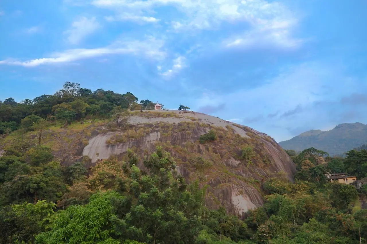 The Hillside Villa Kalpetta Holiday home